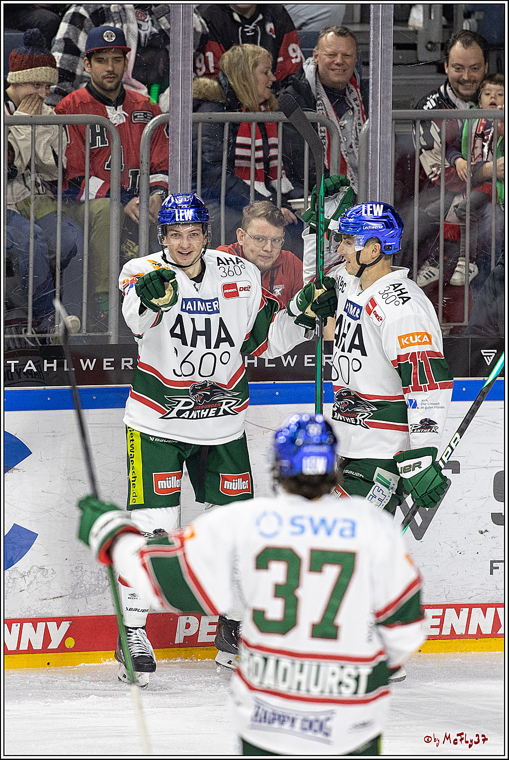 PENNY DEL;  Kölner Haie - Augsburger Panther; Köln, 20.12.2022